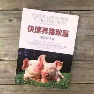 实用养猪大全电子书(书籍表情包图片合集｜快速养猪致富)